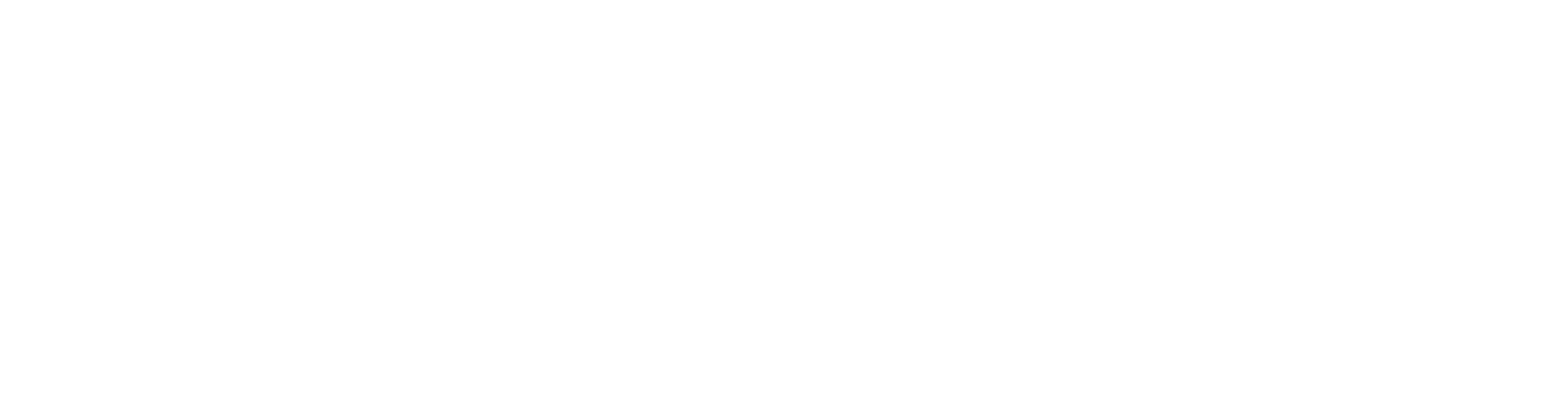 ZAVION